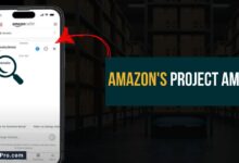 Amazon's Project Amelia