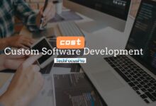 How Much Does Custom Software Development Cost