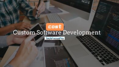 How Much Does Custom Software Development Cost