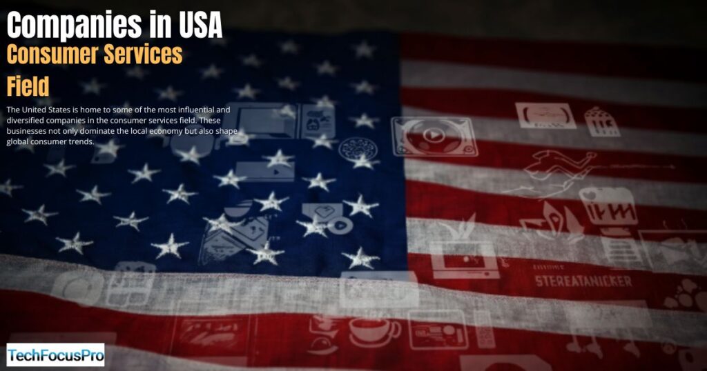 What Companies Are in the Consumer Services Field in the USA?