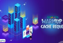 Warmup Cache Request
